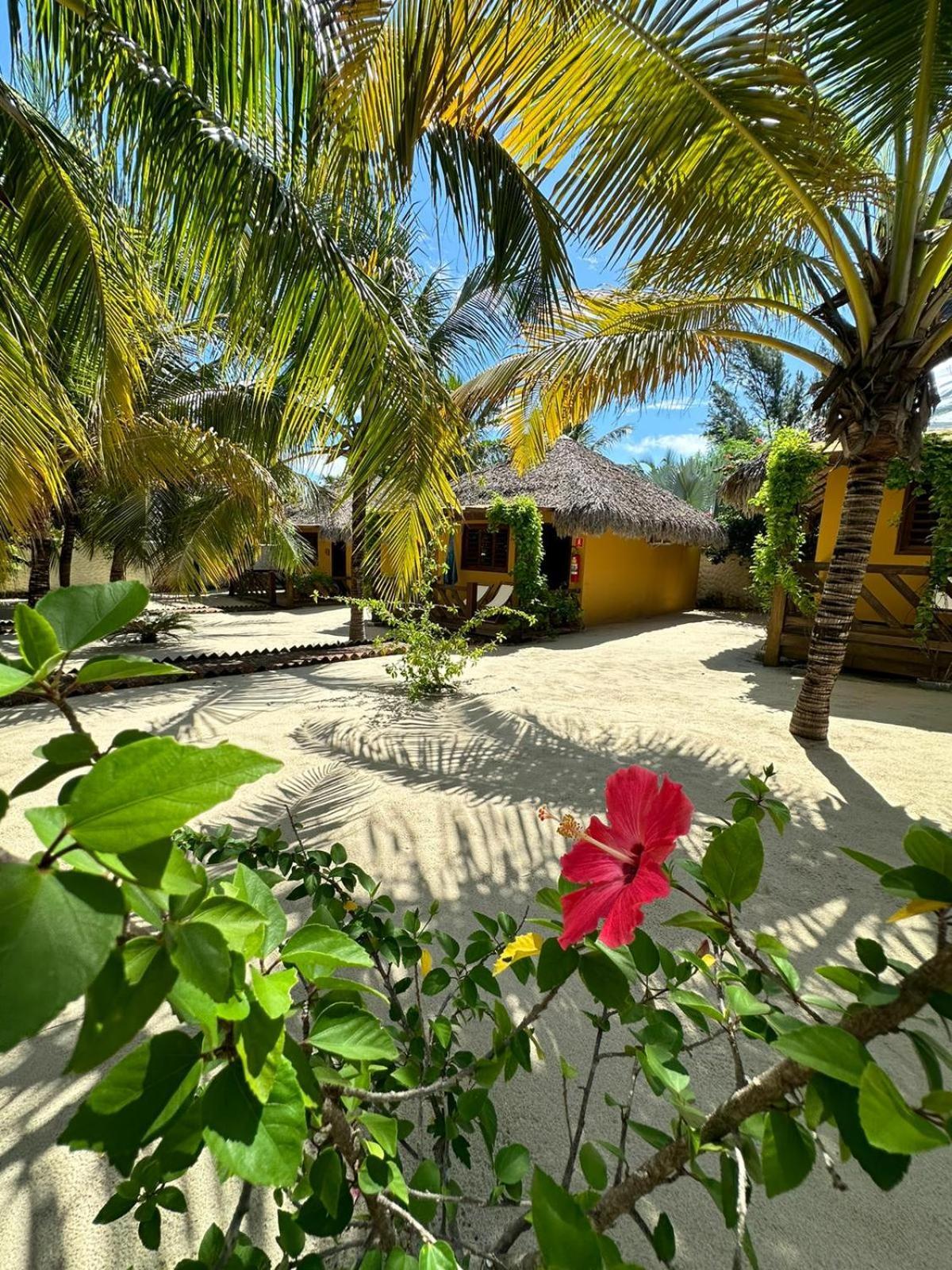 Pousada Vento Do Kite Hotel Barra Grande  Exterior photo