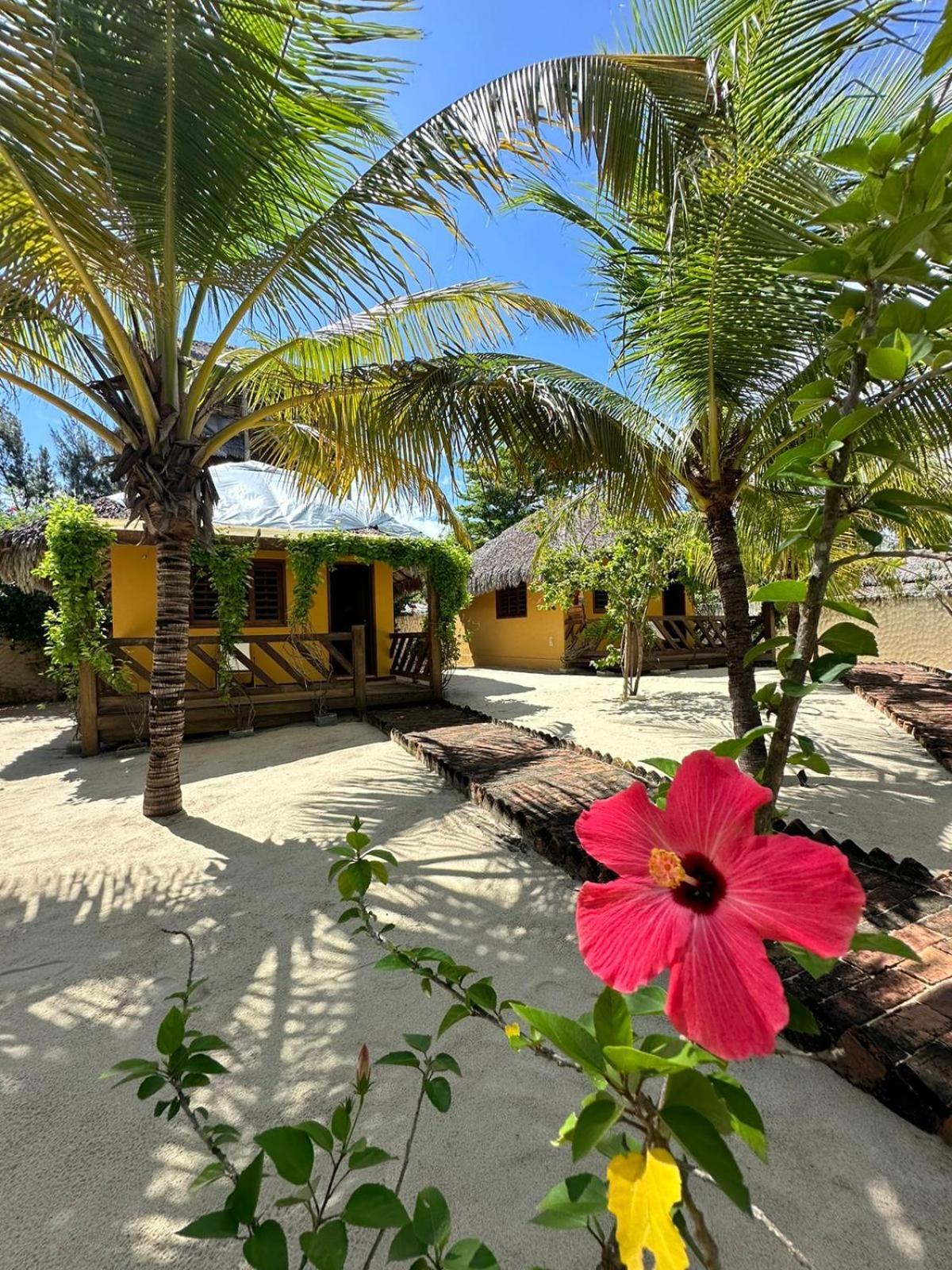 Pousada Vento Do Kite Hotel Barra Grande  Exterior photo